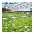 단일 SPAN NFT HYDROPONICS 수직 농장 온실